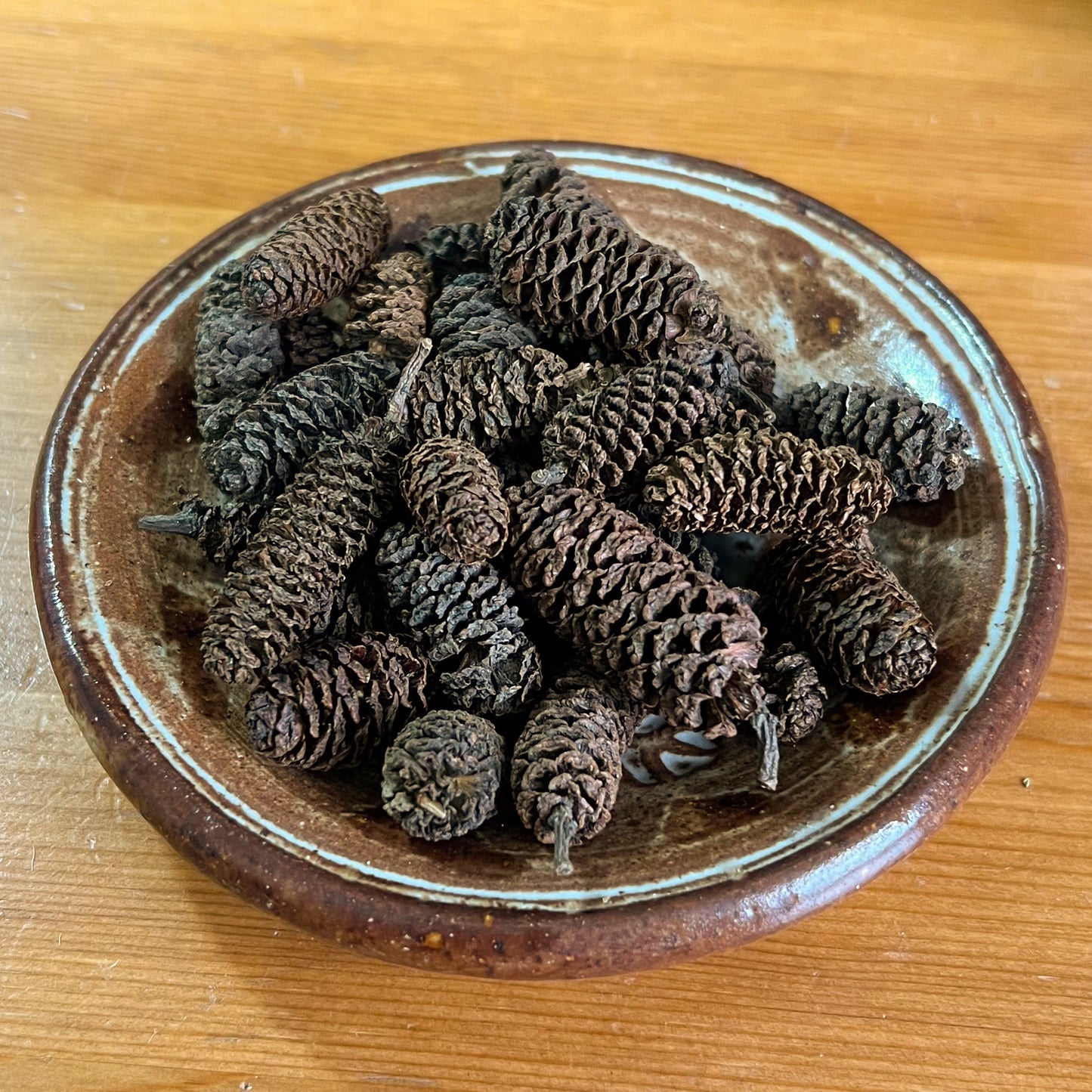 Tiny Pine Cones